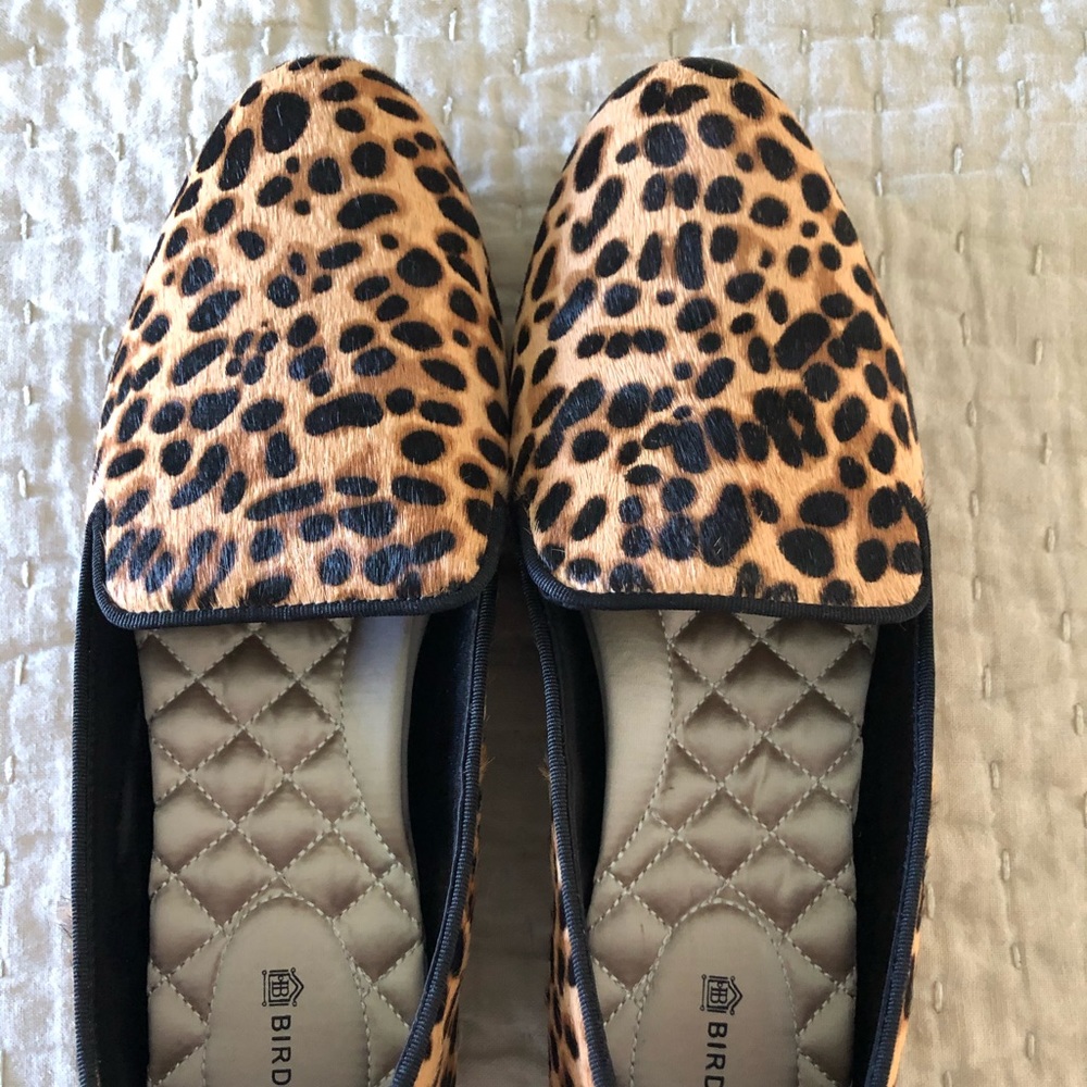 Brand New Leopard Print Birdies Starling 9
